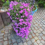 Ferienwohnung-pension Osterwiese * Weilburg