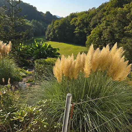 Apartamento Ferienwohnung-pension Osterwiese Weilburg