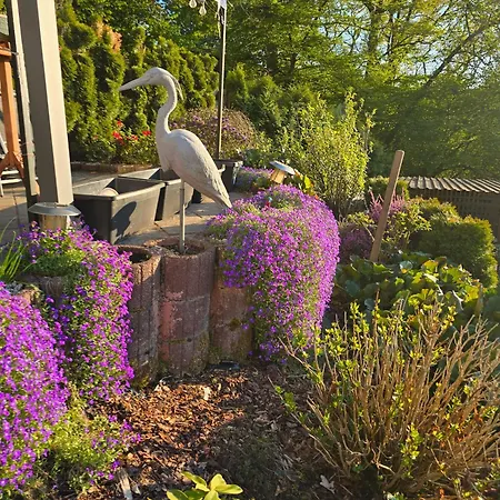 Ferienwohnung-pension Osterwiese Apartamento *